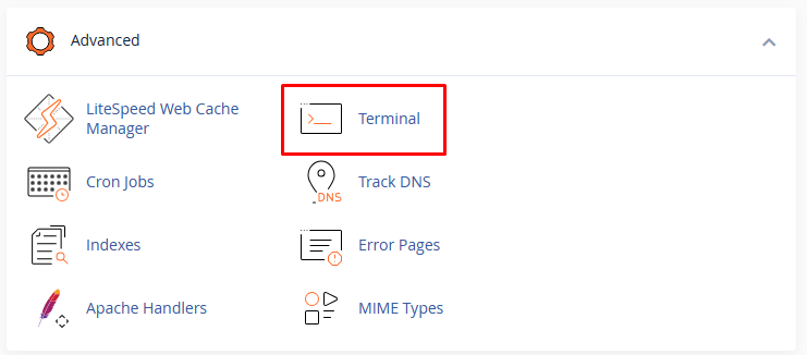 terminal cpanel